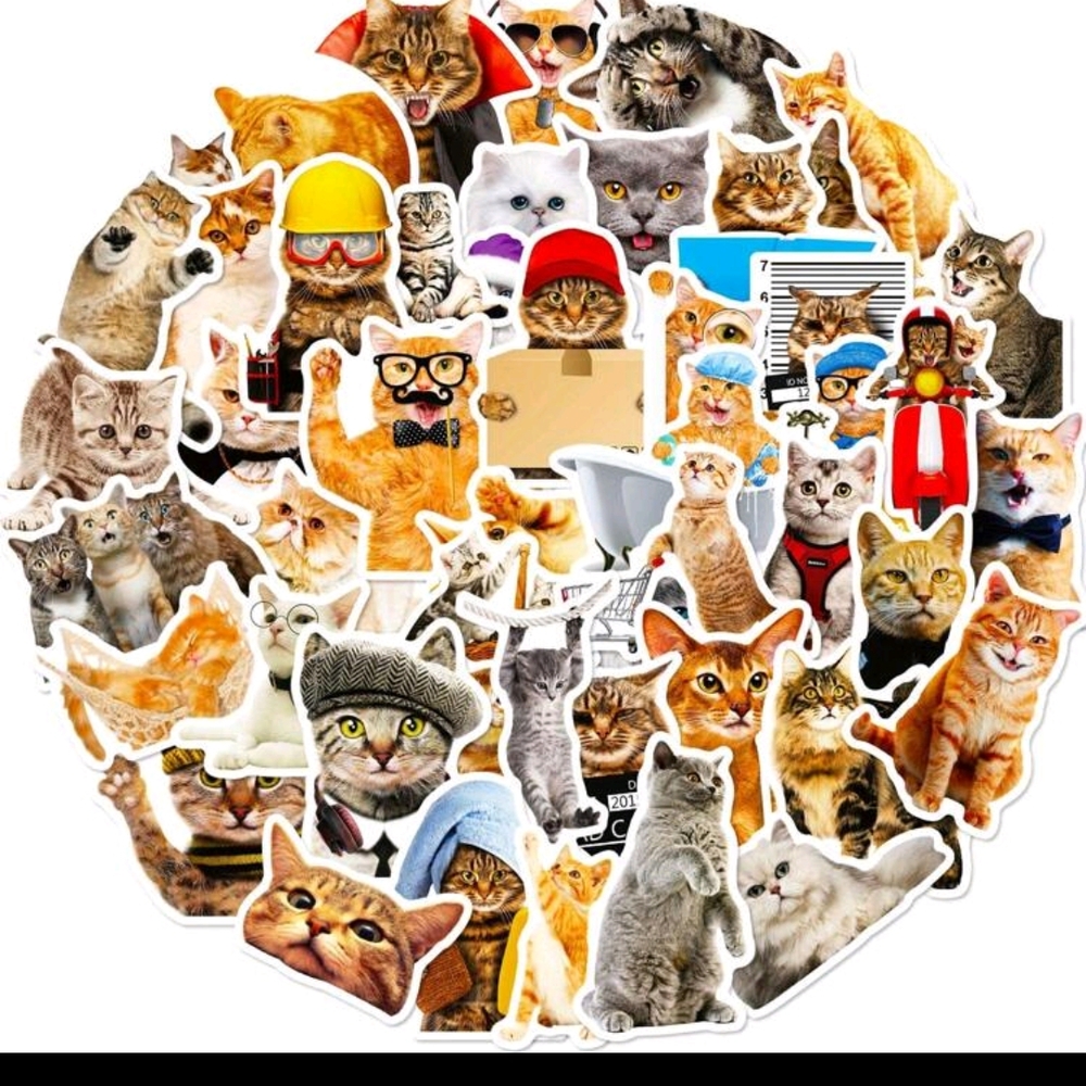 Playful Cat Sticker Collection - Picture 3 of 5